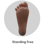 Standing Feet(Free)